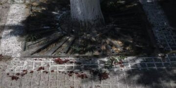 Alldaynews.gr Ομόνοια: Αιμόφυρτος άνδρας μπήκε σε κατάστημα και ζητούσε βοήθεια – Τον μαχαίρωσαν σε συμπλοκή τοξικομανών