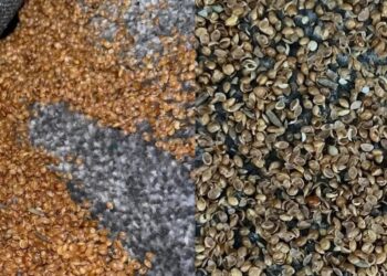 Το τρομακτικό εύρημα μητέρας στο υπνοδωμάτιο του 7χρονου γιου της