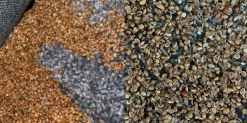 Το τρομακτικό εύρημα μητέρας στο υπνοδωμάτιο του 7χρονου γιου της