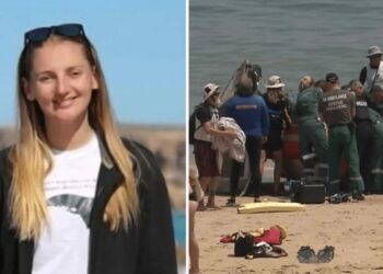 Καρχαρίας δάγκωσε 32χρονη στο πρόσωπο