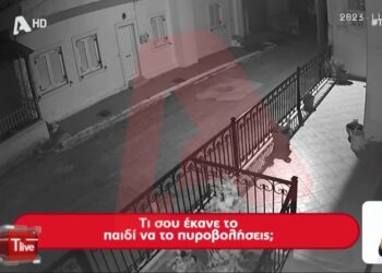 Alldaynews.gr Μακελειό στη Βοιωτία: Σοκαριστικό Βίντεο ντοκουμέντο-Τα τελευταία δευτερόλεπτα της καταδίωξης του 17χρονου και ο πυροβολισμός