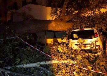 Απίστευτες εικόνες στη Θεσσαλονίκη με πλάτανο να ξεριζώνεται και να καταπλακώνει δύο αυτοκίνητα