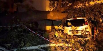 Alldaynews.gr Απίστευτες εικόνες στη Θεσσαλονίκη με πλάτανο να ξεριζώνεται και να καταπλακώνει δύο αυτοκίνητα