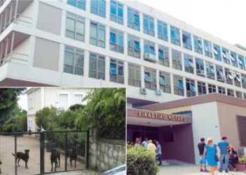 Ένοχος χωρίς ελαφρυντικά ο ιδιοκτήτης των ροτβάιλερ που τραυμάτισαν θανάσιμα τον 5χρονο Στάθη