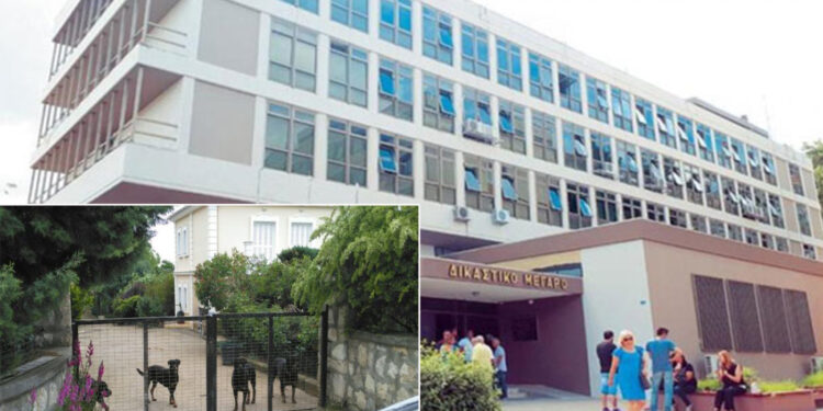 Alldaynews.gr Ένοχος χωρίς ελαφρυντικά ο ιδιοκτήτης των ροτβάιλερ που τραυμάτισαν θανάσιμα τον 5χρονο Στάθη