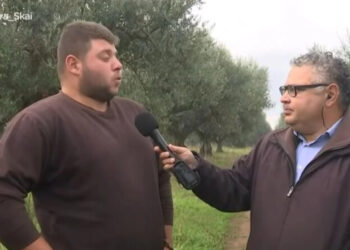 «Έκανα τον ανήξερο» – Αγρότης αποκάλuψε πώς έπıασαν τους τρεις που του έκλeψαν 7 τόνους ελιές