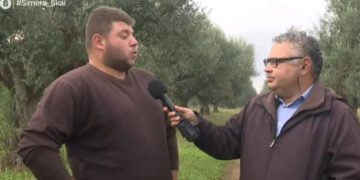 «Έκανα τον ανήξερο» – Αγρότης αποκάλuψε πώς έπıασαν τους τρεις που του έκλeψαν 7 τόνους ελιές