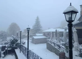 Ντύθηκε στα «λευκά» το Νυμφαίο: Έπεσαν τα πρώτα χιόνια και στο Πισοδέρι