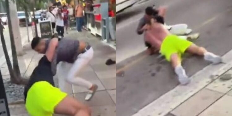 Αδιανόητο video με αλιγάτορα να βγαίνει μέσα από έναν πύθωνα (video)