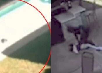 Alldaynews.gr Ηρωίδα 15 ετών έσωσε 3χρονο κοριτσάκι από πνιγμό: Της έκανε μέχρι και ΚΑΡΠΑ (video)