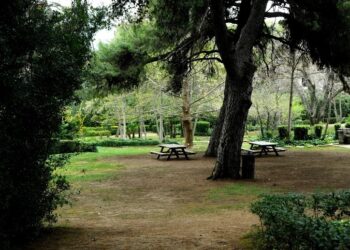 Σοκάρουν οι Αποκαλύψεις για την μαθήτρια που κατέρρευσε σε πάρκο του Αγρινίου – Γιατί την εγκατέλειψαν οι φίλες της