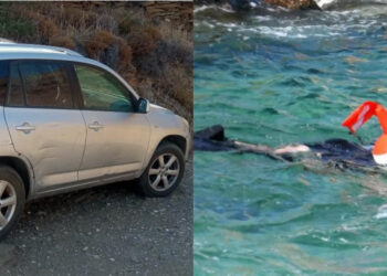 Alldaynews.gr Τραγωδία στην Άνδρο: Βρέθηκε “πνιγμένος” νεαρός ψαροντουφεκάς