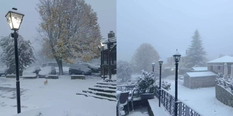 Ντύθηκε στα «λευκά» το Νυμφαίο: Έπεσαν τα πρώτα χιόνια και στο Πισοδέρι