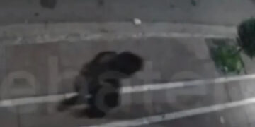 Alldaynews.gr Σοκαριστικό τροχαίο στους Αγίους Αναργύρους: ΙΧ παρέσυρε πεζό και τον εκτόξευσε σε τζαμαρία καταστήματος (video)