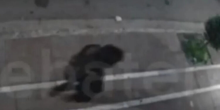 Alldaynews.gr Σοκαριστικό τροχαίο στους Αγίους Αναργύρους: ΙΧ παρέσυρε πεζό και τον εκτόξευσε σε τζαμαρία καταστήματος (video)