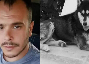 Alldaynews.gr Έχουμε ντοκουμέντα»: Εξελίξεις στην Αράχωβα – Για ποιον λόγο ελέγχεται ο ιδιοκτήτης του Όλιβερ;