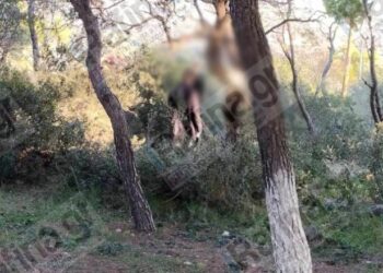 Alldaynews.gr 35χρονη βρέθηκε κpεμασμένη σε δέντρο πίσω από εκκλησάκι – Την αναζητούσε ο σύντροφός της