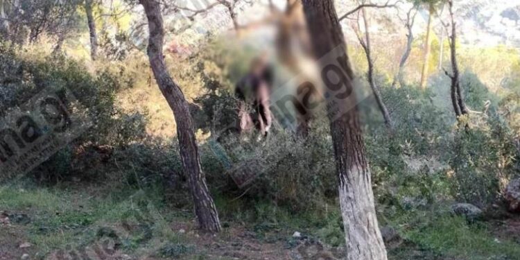 35χρονη βρέθηκε κpεμασμένη σε δέντρο πίσω από εκκλησάκι – Την αναζητούσε ο σύντροφός της