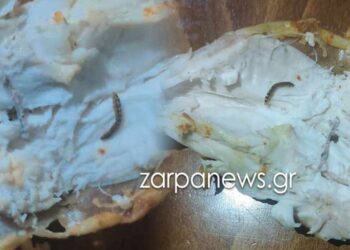 Μητέρα βρήκε…σκουλήκια μέσα σε κοτόπουλο που ψώνισε σε γνωστό σούπερ μάρκετ