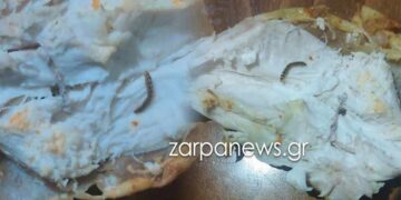 Alldaynews.gr Μητέρα βρήκε…σκουλήκια μέσα σε κοτόπουλο που ψώνισε σε γνωστό σούπερ μάρκετ