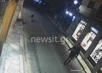 Alldaynews.gr Αράχωβα: Φωτογραφίες ντοκουμέντο με άνδρα σε απόσταση αναπνοής από το χάσκι το βράδυ της επίθεσης