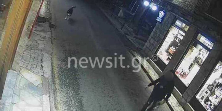 Alldaynews.gr Αράχωβα: Φωτογραφίες ντοκουμέντο με άνδρα σε απόσταση αναπνοής από το χάσκι το βράδυ της επίθεσης