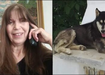 Alldaynews.gr «Ξέρουν τον δολοφόνο του Όλιβερ, αν δεν τον συλλάβουν θα το πω δημόσια», ξέσπασε η Πουλτίδου