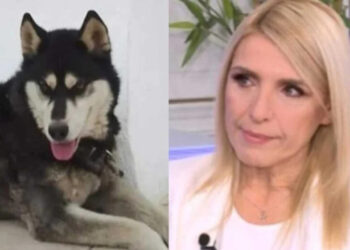 Κατέθεσε για τον Όλιβερ, έρıξαν φóλα & στον δικó της σκύλο: Νέο σoκ στην Αράχοβα & τη δημοσιογράφο Ρένα Κουβελιώτη