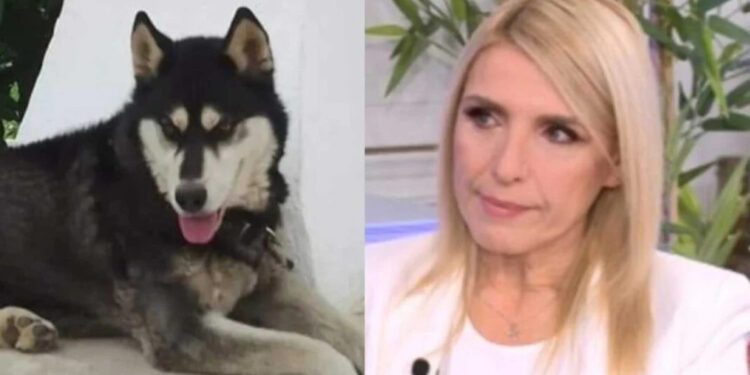 Alldaynews.gr Κατέθεσε για τον Όλιβερ, έρıξαν φóλα & στον δικó της σκύλο: Νέο σoκ στην Αράχοβα & τη δημοσιογράφο Ρένα Κουβελιώτη