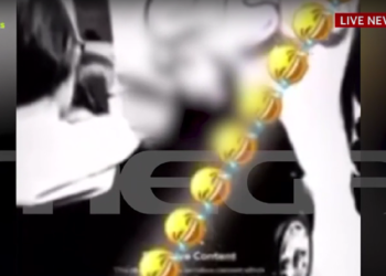 Βίντεο ντοκουμέντο από τον ξυλοδαρμό της 15χρονης από ανήλικες – Συνελήφθησαν οι πέντε καθώς και οι γονείς τους