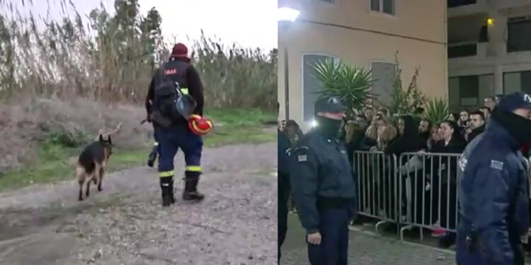 Μεσολόγγι: Πυροβολημένος στην πλάτη και τα πόδια από κυνηγετικό όπλο ο Μπάμπης – Τα ανατριχιαστικά δεδομένα