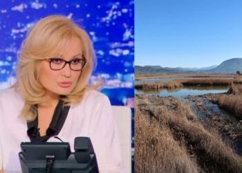 Alldaynews.gr Φως στο Τούνελ – Αποκαλύψεις στη Νικολούλη: «Φοβάται ότι αν ανοίξει το στόμα του θα βρεθεί σε αυτό του λύκου»