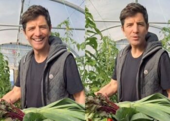 «Βγάζω πάγκο, ψάχνω χέρια»: Περήφανος «αγρότης» ο Σάκης Ρουβάς – Άφησε το τραγούδι και «πιάνει» την ντομάτα (video)