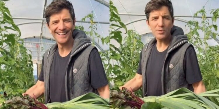 «Βγάζω πάγκο, ψάχνω χέρια»: Περήφανος «αγρότης» ο Σάκης Ρουβάς – Άφησε το τραγούδι και «πιάνει» την ντομάτα (video)