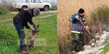 Alldaynews.gr Μεσολόγγι: «Ίχνος» εντόπισε ο εκπαιδευμένος σκύλος – Ραγδαίες εξελίξεις με τον Μπάμπη Κούτσικο (Video)