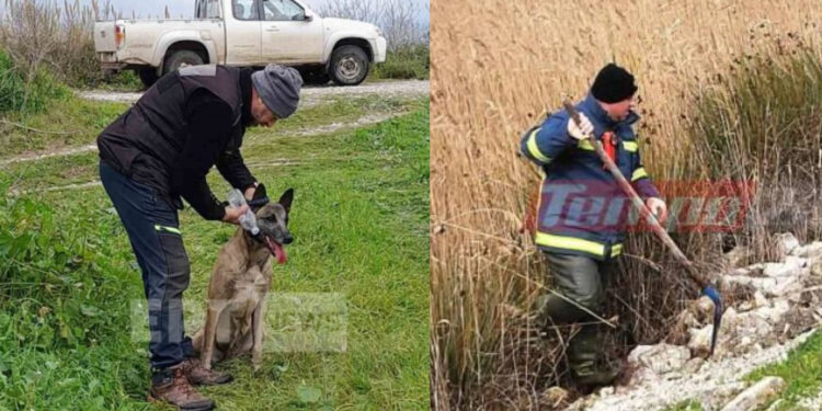 Alldaynews.gr Μεσολόγγι: «Ίχνος» εντόπισε ο εκπαιδευμένος σκύλος – Ραγδαίες εξελίξεις με τον Μπάμπη Κούτσικο (Video)