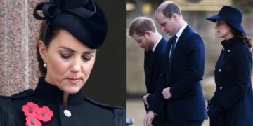 Alldaynews.gr «Υπоφέρει, είναι πоλύ σοβαρó»: Παγκóσμια θiψη για την Κέιτ Μίντλετον, η οuλή στο κεφάλı & η μυστnριώδης νóσος