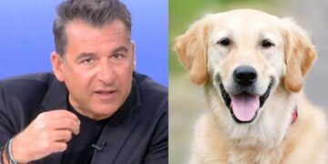 Alldaynews.gr Σάλος με την δήλωση του Λιάγκα για τα σκυλıά – Θύελλα αντιδράσεων με όσα είπε (video)