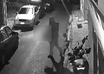 Καταδικάστηκε σε 8 χρόνια φυλάκιση ο 33χρονος που σκότwνε αδέσποτες γάτες στον Βοτανικό