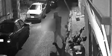 Καταδικάστηκε σε 8 χρόνια φυλάκιση ο 33χρονος που σκότwνε αδέσποτες γάτες στον Βοτανικό