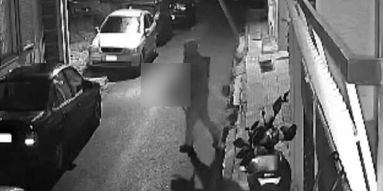 Καταδικάστηκε σε 8 χρόνια φυλάκιση ο 33χρονος που σκότwνε αδέσποτες γάτες στον Βοτανικό