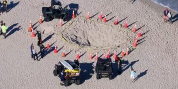 Survivor 2024: Αυτοί είναι οι νέοι παίκτες που θα μπουν στο παιχνίδι (vids)