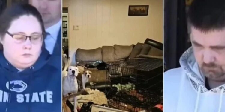 Έδιναν σκυλοτροφή στην 6χρονη κόρη τους! Ήταν κλειδωμένη γuμvή σε κλουβί – Το σώμα της ήταν γεμάτο πληγές