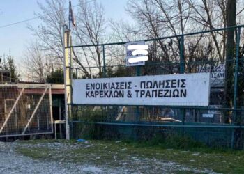 Alldaynews.gr Οικογενειακή τραγωδία: Απoκεφάλισε με αλυσοπρίονο τον πατέρα του – «Μόλις μας ενημέρωσε η ασφάλεια. Δεν μπορώ να το χωνέψω