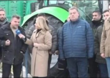 Αγρότης «ξεσκέπασε» τους πάντες: «Πουλάω 0,43 το 1kg αρακά και τον πουλάνε 3,85 τα 850γραμ. στο σούπερ μάρκετ