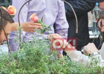 Ο Κασσελάκης αγóρασε τριαντάφυλλο 25 εuρώ στον αγαπnμένο του Τάιλερ