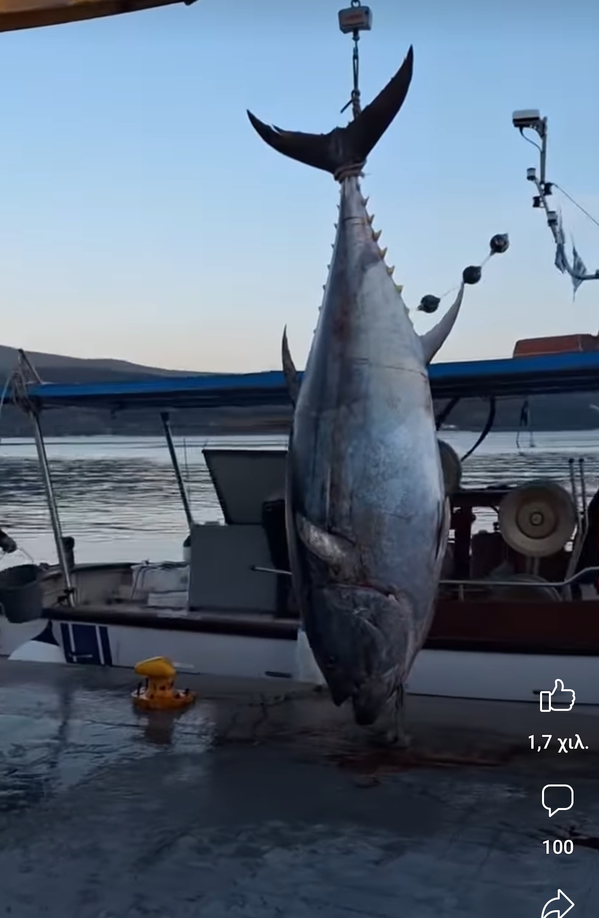 Το μεγαλύτερο ψάρι
