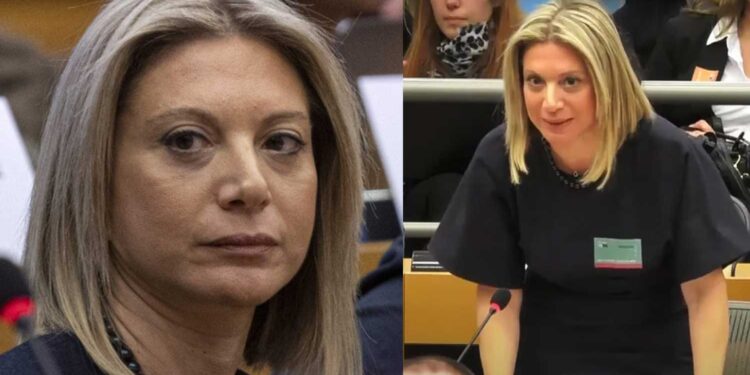 Alldaynews.gr Συγκλονιστική Μαρία Καρυστιανού στο Ευρωκοινοβούλιο: «Έχουμε τη βεβαιότητα ότι η αλήθεια δεν θα λάμψει»