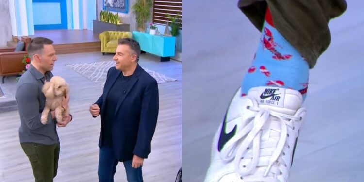 Έκανε… έκπληξη στον Λιάγκα ο Στέφανος Κασσελάκης: «Εισέβαλε» στο πλατό του «Πρωινού» φορώντας «αστακοκάλτσες» – «Είμαι αρχηγός της αντιπολίτευσης, δείξε σεβασμό»