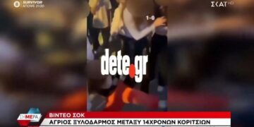 Βίντεο-σοκ από άγριο ξύλο μεταξύ 14χρονων κοριτσιών – Ήθελε να την πετάξει στην θάλασσα